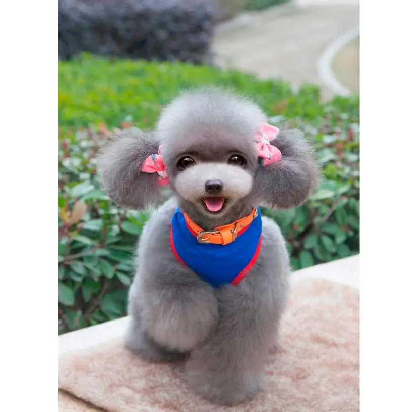 Дешевая Одежда для собак жилет с узором маленьких roupa de cachorro # XT|patterns dog clothes|vest dogdog