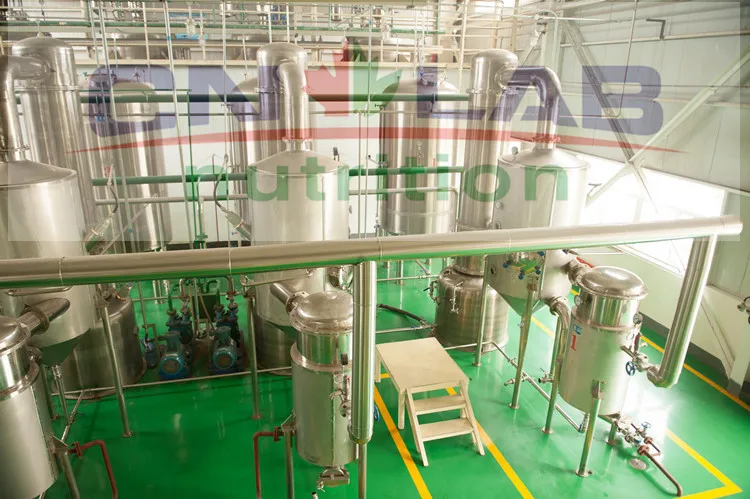 100% Органических Лиофильно Высушенный Порошок Манго/Манго Концентрат Сока |