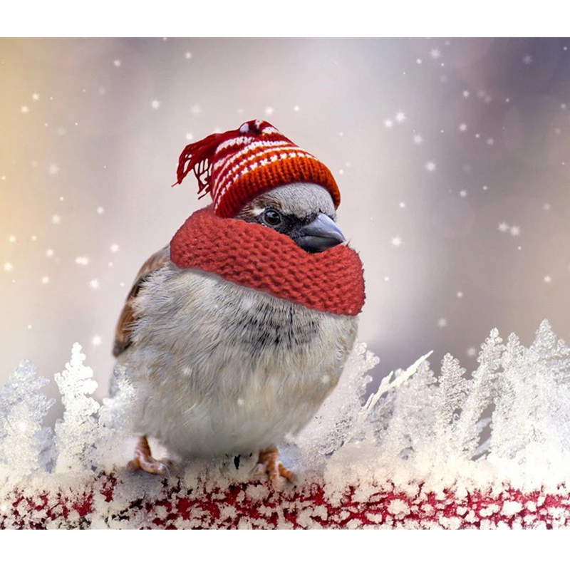 

5D алмазная живопись «сделай сам», вышивка крестиком, животное, милая птица, полная выкладка, вышивка, стразы, домашний декор, подарки