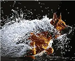 Раскрашивание по номерам немецкая овчарка собака бегущая вода цифровая вручную