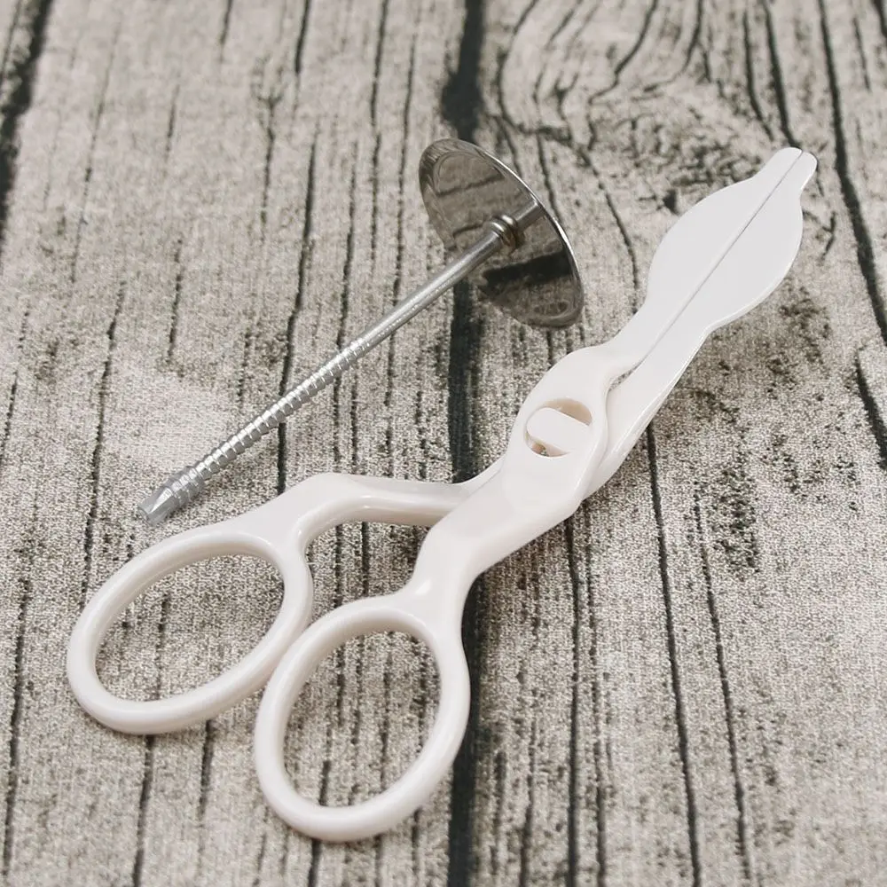 

2pcs Cake Decorating Nails Stainless Steel Cake Flower Needle and Plastic Scissor Fondant Decor Flowers Lifter