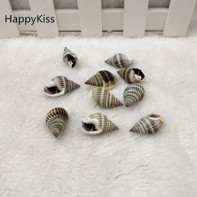 10 шт. хит продаж натуральные раковины семейные украшения аксессуары для
