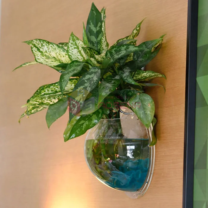 Креативные золотые рыбки Акриловые Настенные рыбные миски аквариумные