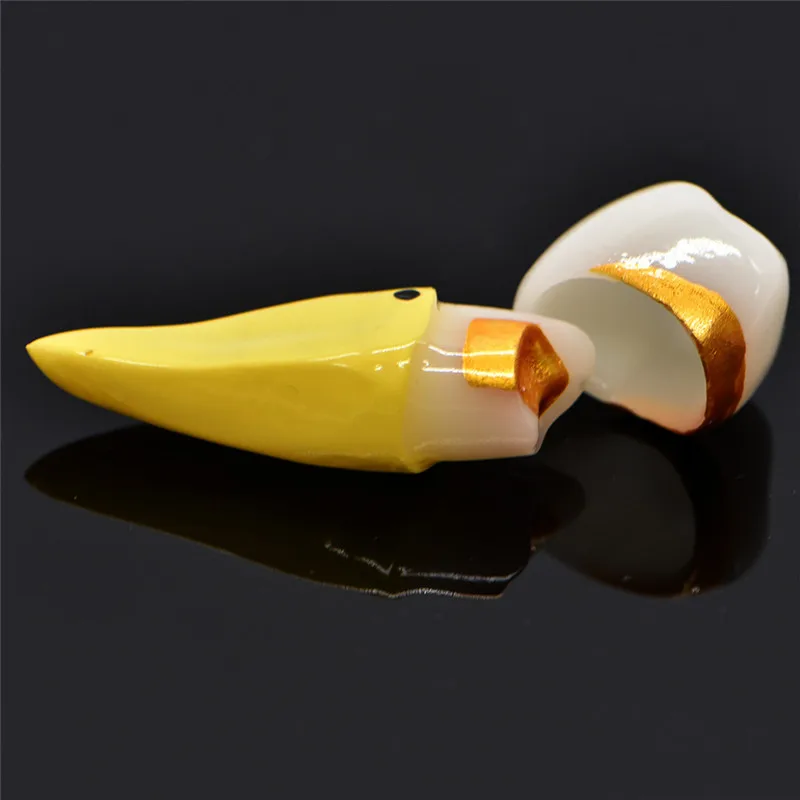 Dental Pulp Restoration Pathological Model with Detachable teeth Premolar caries crown pulp cavity filling | Красота и здоровье