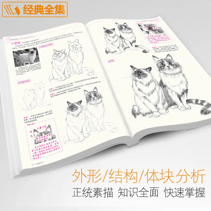 Новые животные/Пейзаж/цветы/класс эскиз учебник книга