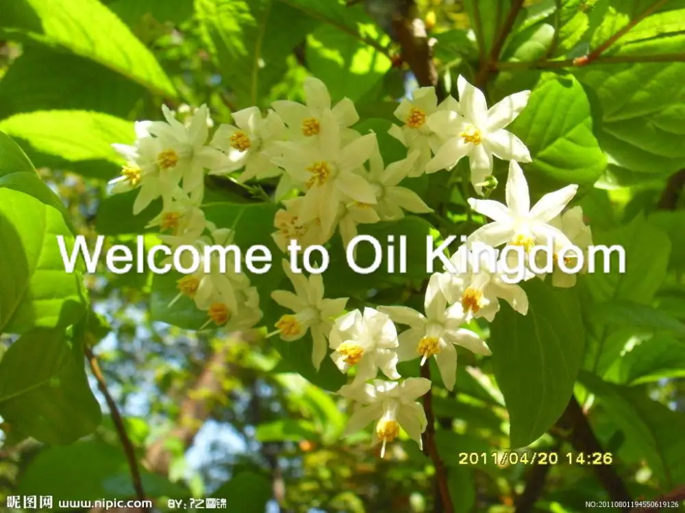 100% чистые растительные эфирные масла бензоиновое масло 2 мл импорт из Вьетнама