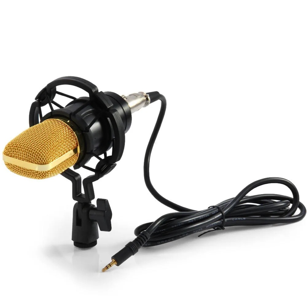 Оригинальный профессиональный конденсаторный микрофон BM700 KTV Cardioid Pro Audio Studio Vocal