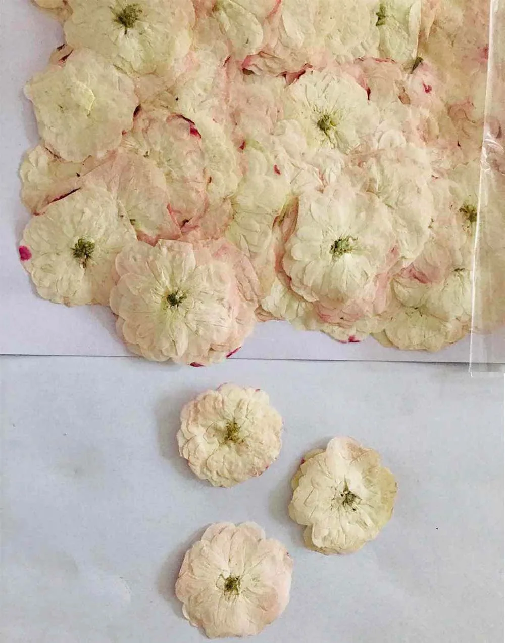 

250pcs Pressed Dried Pale Pink Rose Flower Plant Herbarium For Jewelry Postcard Invitation Card Phone Case Bookmark DIY