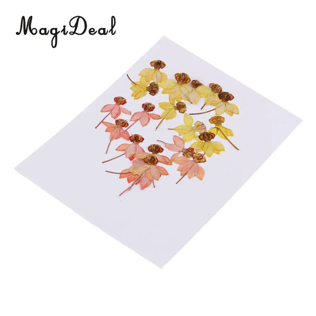 20 штук красивый Танцы кукла орхидеи реального с тисненным изображением цветка