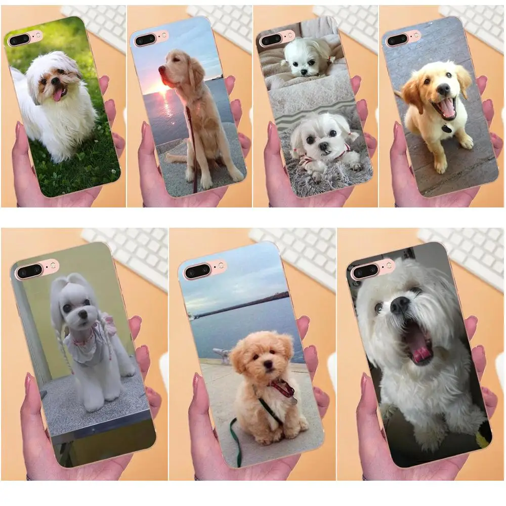 Love Pretty Shih Tzu Puppy Dogs Мягкая Мода для Sony Xperia Z Z1 Z2 Z3 Z4 Z5 compact Mini M2 M4 M5 T3 E3 E5 XA XA1 XZ Premium |