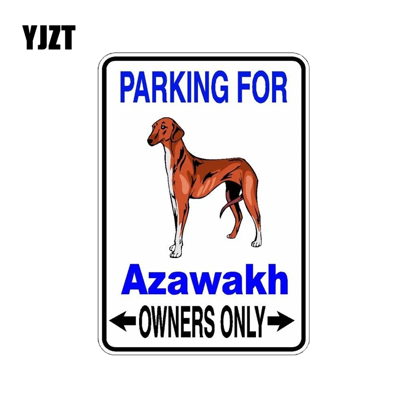

YJZT 10*14.2CM Azawakh Dog Hipster Cartoon Animal PVC Car Sticker C1-4530