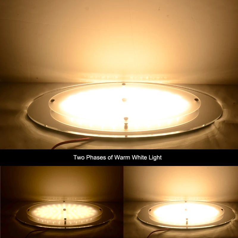 2000 люменов с регулируемой яркостью светодиодный купольный свет голубого