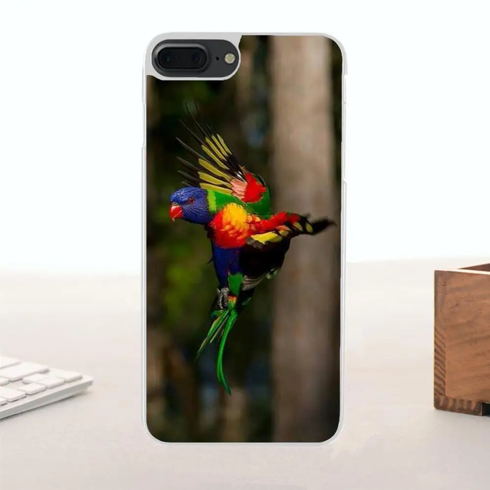 Rainbow Parrot For Huawei G7 G8 Honor 5A 5C 5X 6 6X 7 8 V8 Mate 9 P7 P8 P9 P10 Lite Plus Portugal Fashion Design Cell Case | Мобильные