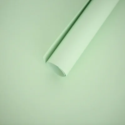 Светло-зеленый 2 шт. 40x54 см DIY красочный картон поглощает светильник реквизит для фотографии задний план бумага для фотостудии Аксессуары - Цвет: Светло-зеленый
