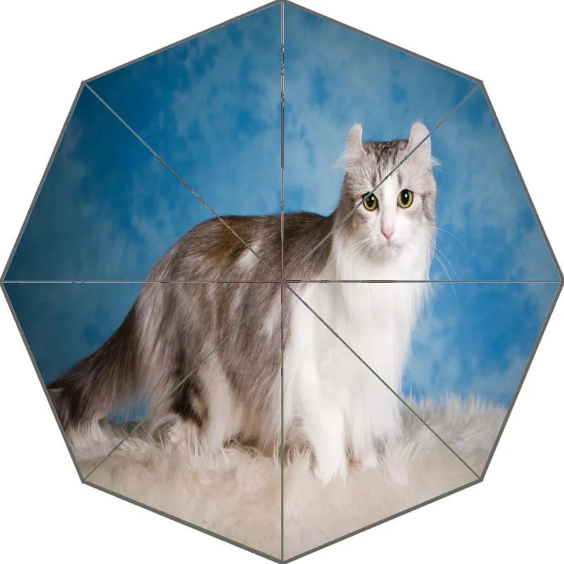 Nice cat экзотическая короткошерстная зонтик пользовательские солнечный и дождливый зонтик Дизайн Портативный Мода Стильный Полезная Зонты хороший подарок - Цвет: Зеленый