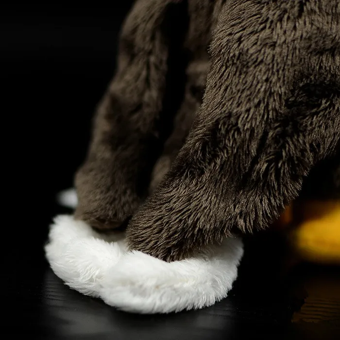 Pomkii моделирование орла плюшевые мягкие животные коллекция kawaii эмультационные