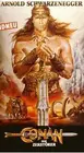 Арнольд Шварценеггер Конан варвар Винтаж шелк постер декоративная стена картина 24x36inch