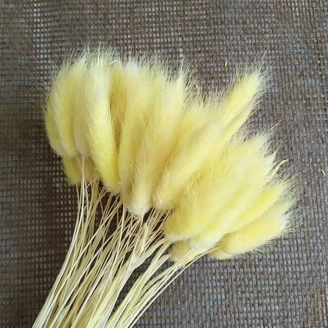 Yellow 60 шт. длинные сушеные букеты из натуральных цветов, Красочные букеты lagunus Ovatus Uraria Picta, кроличий хвост, трава, букеты, булочки, украшение дома - Цвет: Yellow