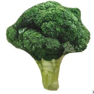 broccoli Игрушка для домашних животных кусачки кошачий щенок для маленькие игрушки для собак фрукты овощи курица скрипучие игрушки креативные Кошки моделирование игрушечные домашние питомцы 7C4 - Цвет: broccoli