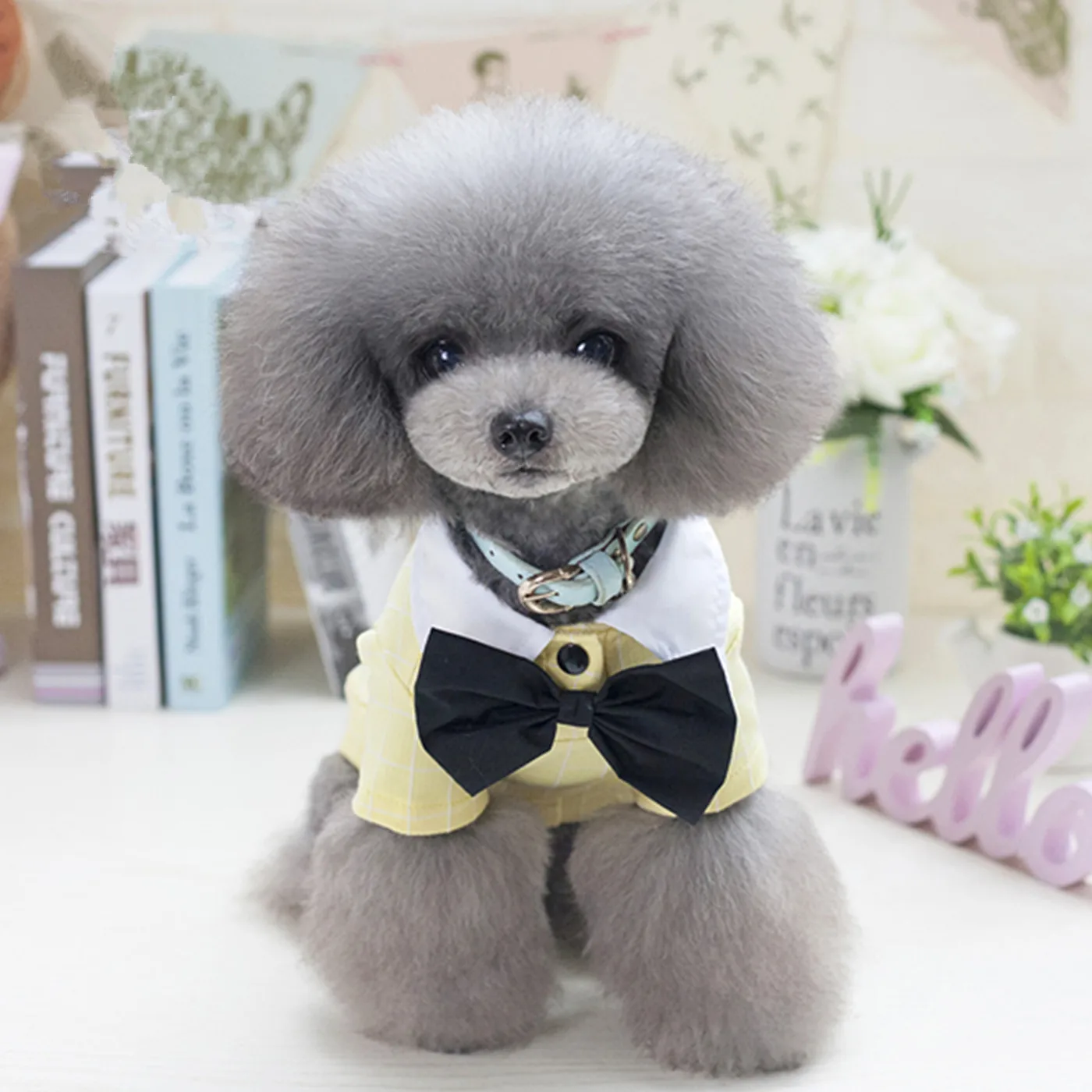 Bigeyedog Мужская одежда для собак Свадебный костюм весна лето рубашка Футболка с