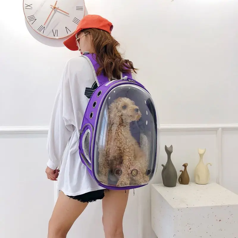PL Дышащие прозрачные капсулы Pet Cat Puppy Рюкзак-переноска для путешествий - Цвет: PL