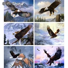 Evershine алмазная живопись, украшенная бисером, бриллиантовая картина с орлом, вышивка крестиком, Полный Бриллиант, круглая вышивка