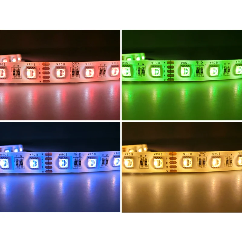 4  1   RGBW 5050, 12 ,    RGB + /RGB +    , 60 /, 5 /