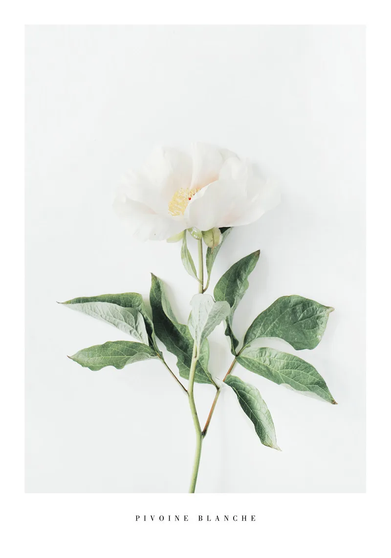 

Nordic Wall Art Green Plant Canvas Painting Art English Alphabet Print Poster Picture Wall Modern Simple Living Room Decoration