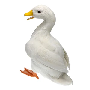 White Duck MagiDeal, различные реалистичные украшение утки, фигурка для улицы, дома, сада, водоема, украшение, сделай сам, живой искусственный поделки из перьев - Цвет: White Duck