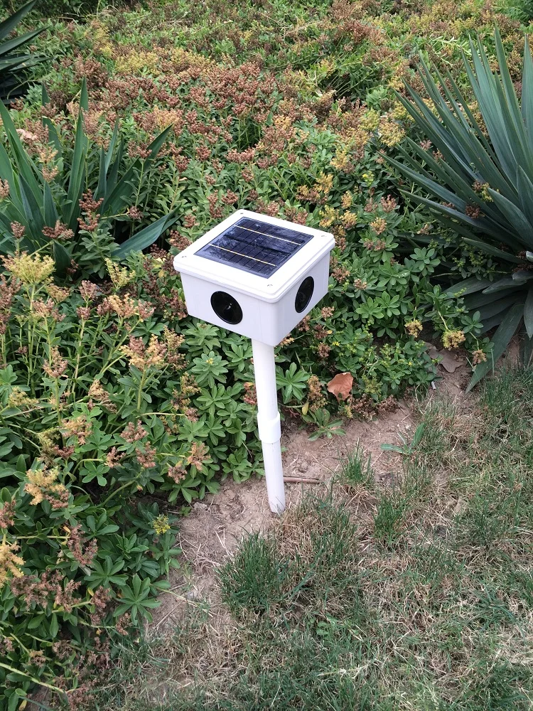 Солнечная Звук ультразвуковой отпугиватель птиц Открытый Анти устройств голубь