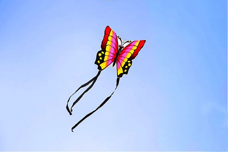 Высокое качество lober butterfly kite 2 шт./лот с ручной линией hcxkits завод Легко contrl ripstop нейлон птицы Орел