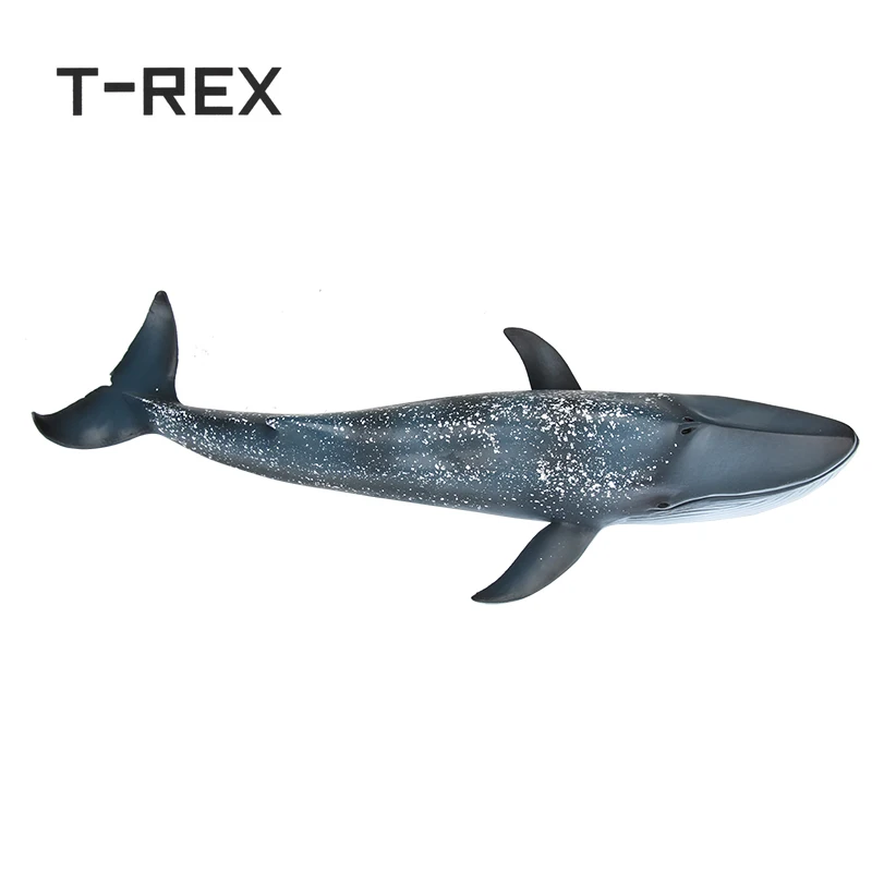 T REX 27 см ПВХ имитация морского Кита модель животного для детей человек против
