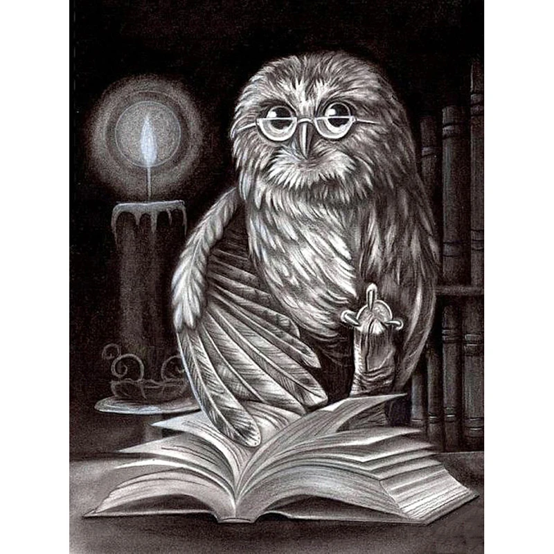 5D алмазов картина книга с совой Алмазная мозаика полная выкладка квадратных