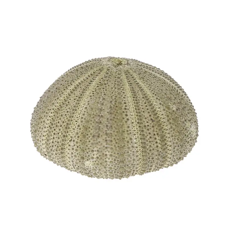 1 шт. натуральное украшение для аквариума | Дом и сад