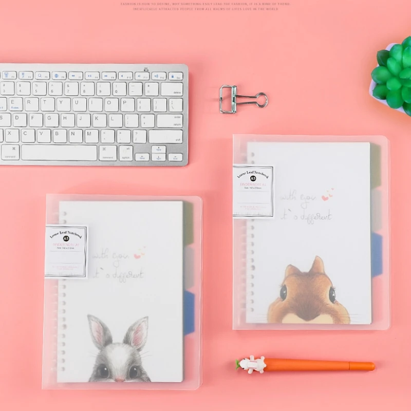 A5 матовый прозрачный ноутбук канцелярская книга Корейская Студенческая катушка