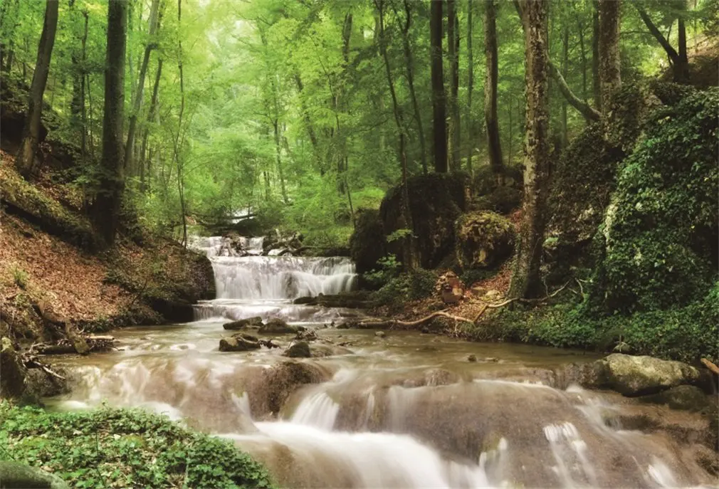 Photography Backdrop Nature Jungle Trees Cascade Grass Field Travel Photo Background | Электроника