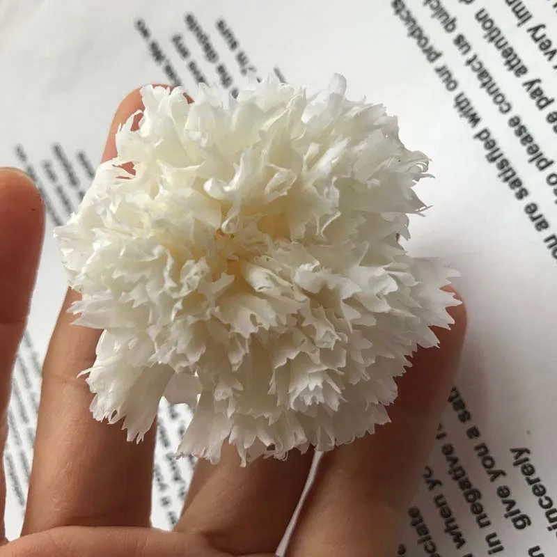 8 шт. длинный срок службы гвоздика сухой Натуральный Свежий консервированный