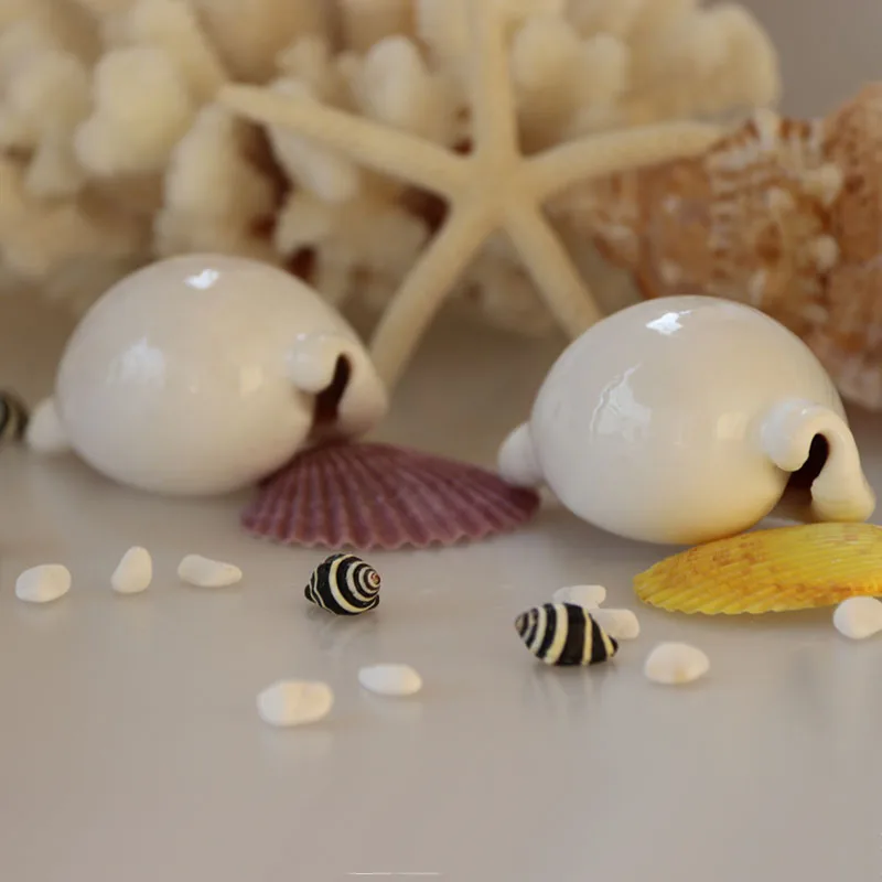 Бесплатная доставка (2 шт./лот) обычное яйцо Cowrie натуральная раковина и ракушка