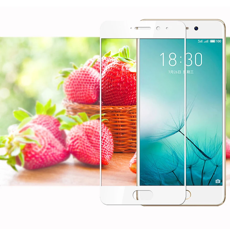 Защитное стекло для Meizu Pro 7 Plus 2 шт. | Мобильные телефоны и аксессуары