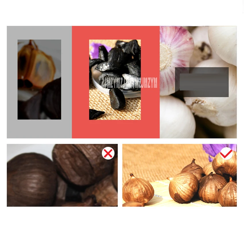 

SF-G100 Black garlic machine ferment zymolysis garlic appliances for cooking kitchen robot tools 5L Capacity Food Processors