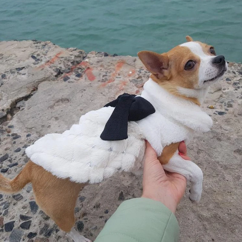 HOOPET Pet Clothes Elegant Luxury Fur Winter Overcoat Small Dog Cat Bowknot Chihuahua|pet clothes|cat clothessmall dog |