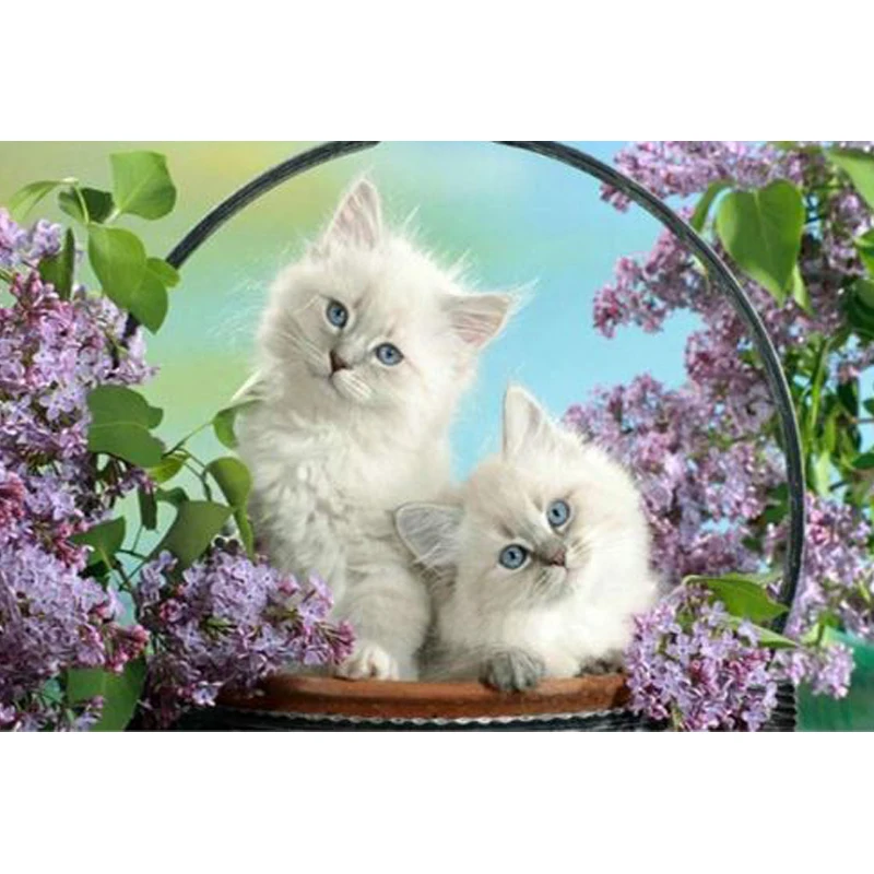 Замечательные кошки цветочные животные 5d diy алмазная живопись полный круглый стразовый вышивка мозаика комплекты крестиком.