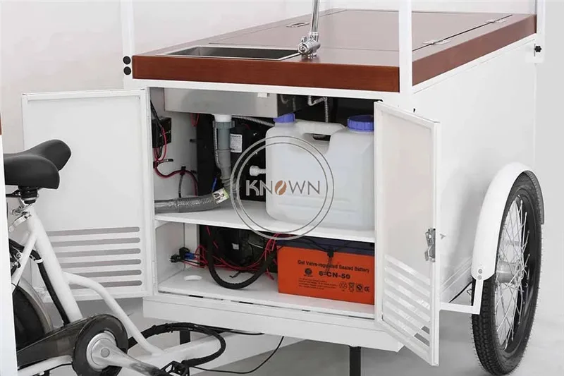 Мобильный солнечный 3 колеса Электрический Морозильник трайк мороженое грузовой