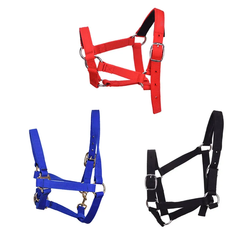 Новое поступление утолщенный плетеный пояс повязка на шею для верховой езды