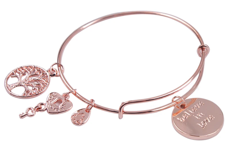 1 шт. мода розовое золото плиты расширения провода браслет бесплатная доставкак |