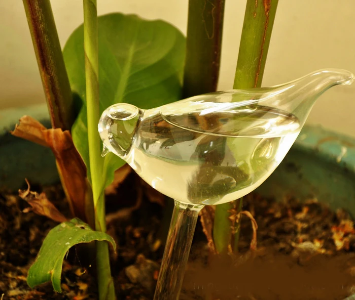 Простая стеклянная ваза прозрачные аксессуары для дома креативное стекло ручной