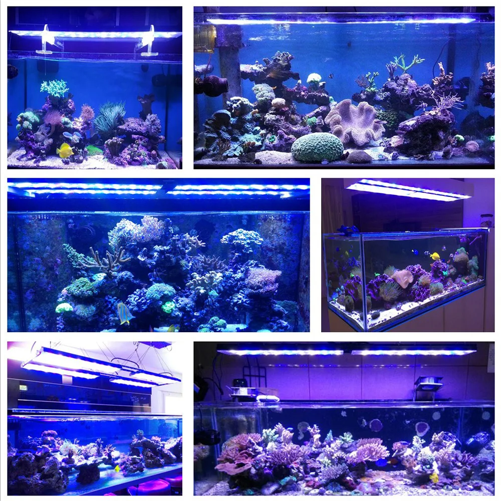 DSunY Led ламповый аквариум светодиодное освещение для SPS/LPS Frag Коралловый Риф
