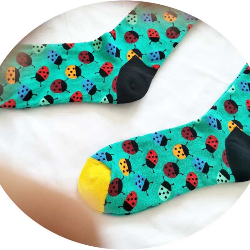 [EIOISAPRA] женские носки с персонажами из мультфильмов Kawaii гриб белка Жук милые