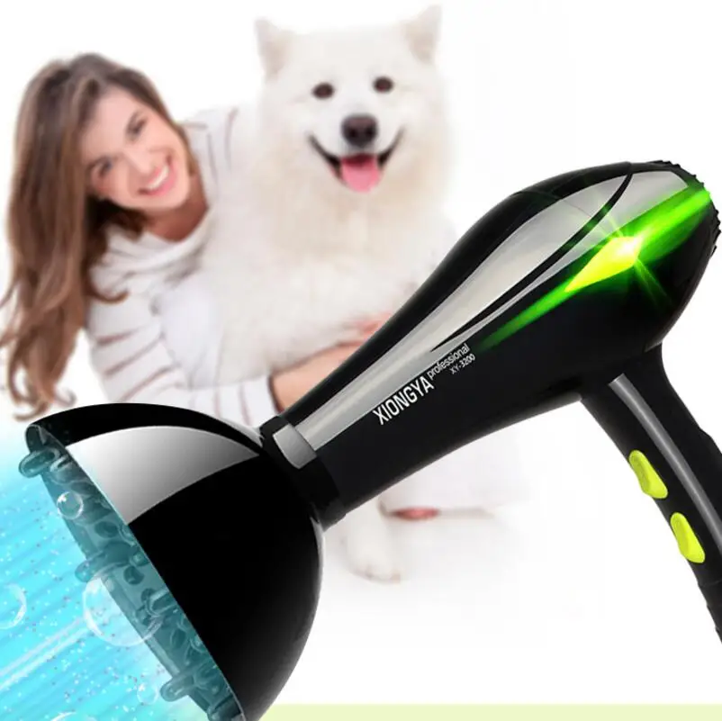 

Professional Electric Pet Hair Dryer High Power Dog Blower Golden Hair Teddy Cat Small Large Dog Blowing Machine Heater