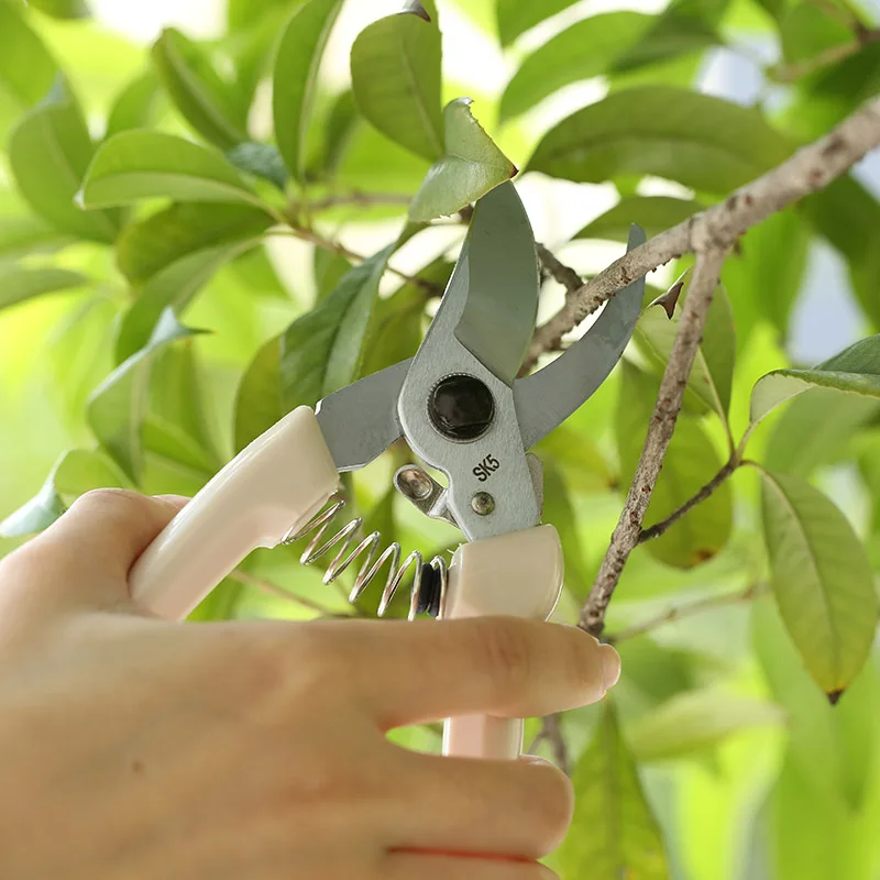 2019 лучшие продажи садовые инструменты секаторные ножницы Обрезка привитые